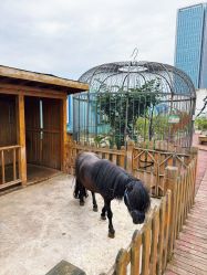 -三分地生态园·儿童乐园