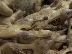 -章云板鸭(评事街店)