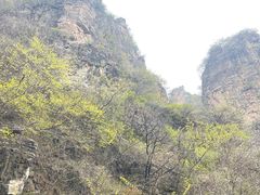 -狼牙山风景区