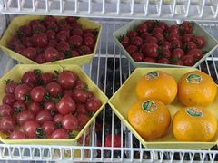 -亲兄弟真人CS团建拓展基地