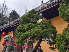 -龙华素斋(龙华路店)