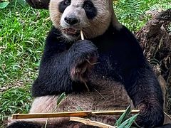 -广州长隆野生动物世界