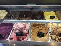 -Patagonia Chocolates(皇后镇店)