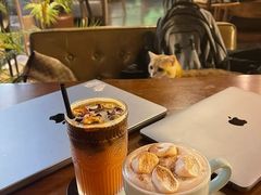 -咖法森林·咖啡  酒吧(天河店)