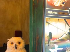 -逃脱反斗城沉浸剧情密室(阳光新业中心店)