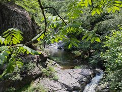 -云岫谷游猎自然风景区
