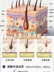 -Bollins波林丝•专研护发中心