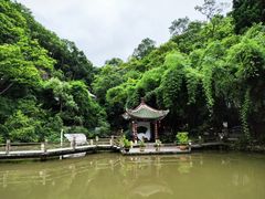 -黔灵山公园