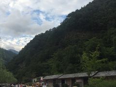 -牛背梁国家森林公园