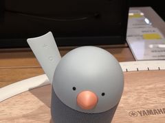 -顺电·脉(浦东嘉里城店)