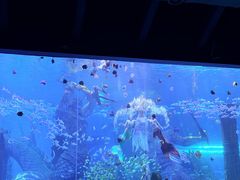 -哈尔滨波塞冬海底世界