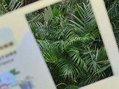 -广州花园酒店