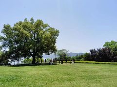 -东钱湖旅游度假区