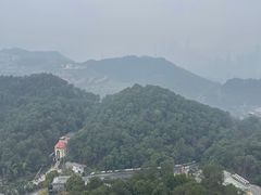 -大金鹰园