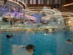 -帝企鹅自助餐厅•儿童岛•真企鹅(长隆企鹅酒店)