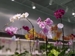 -盒马X会员店(上海森兰商都店)