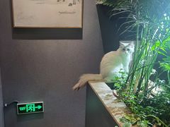 -邈墨茶馆(大兜路1号店)