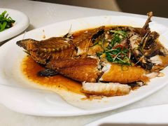 石斑鱼-衡山汇·高级粤菜(霄云路店)