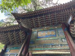 -藏山旅游风景区