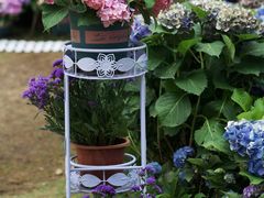 -厦门园林博览苑