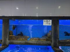 -小海丁