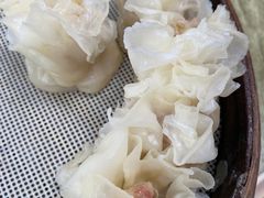爽口鱼滑烧麦-晓友烧麦(光华村店)