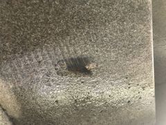 -中铁花水湾四季温泉谷