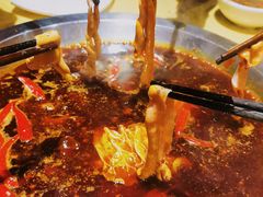 -田鸭肠·非遗火锅(彭州店)