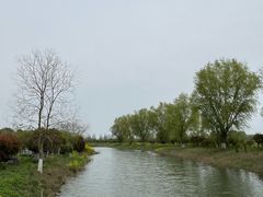 -泗洪洪泽湖湿地景区