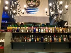 -猫咪博物馆(顶澳仔猫街店)