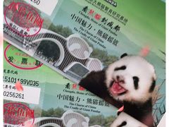 -成都大熊猫繁育研究基地
