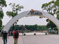 -上海鲜花港