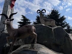 -七彩云南欢乐世界