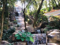 -广州市流溪河国家森林公园
