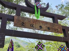 -西双版纳原始森林公园