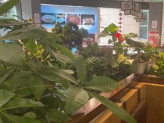 -洞庭家宴·头牌甲鱼(广渠门店)