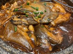 鲽鱼头-海派美食·家宴海鲜青岛菜·石锅鲽鱼头(东方城店)