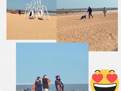 -巧克力渔家.小船海鲜家常菜(万平口店)