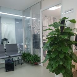 -清清博视儿童眼视光中心(角门西店)