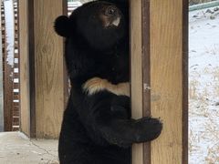 -石家庄市动物园