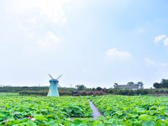 -武汉紫薇都市田园