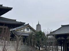 -舍利塔滩地公园-无垢净光舍利塔