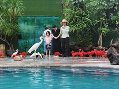 -麗枫酒店(广州汉溪长隆站野生动物园景区店)