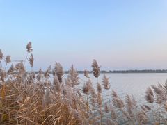 -野鸭湖国家湿地公园