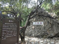-阳台山自然风景区