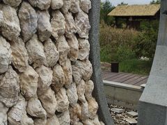 -武清南湖绿博园