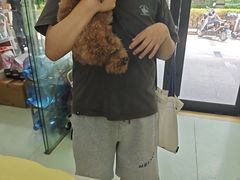 -瑞鹏宠物医院·宠保定点·心脏科·内科(御桥分院)
