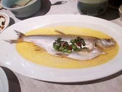 鸡油蒸白水鱼-上海人家花樣年华(虹口龙之梦店)