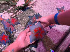 -沈阳海洋探索中心