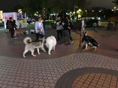 -优托邦(长兴路店)